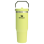 Stanley 30 OZ IceFlow Flip Straw Stainless Steel Tumbler In Prickly Pear Green